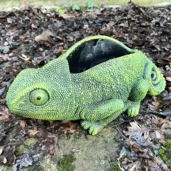 Darthome Limited Cement Green Chameleon Planter -Décor Dreams Shop IMG E9355