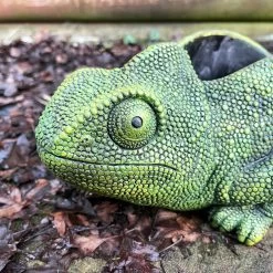 Darthome Limited Cement Green Chameleon Planter -Décor Dreams Shop IMG E9356