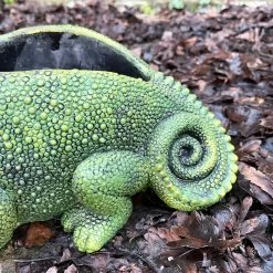 Darthome Limited Cement Green Chameleon Planter -Décor Dreams Shop IMG E9358