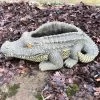 Darthome Limited Cement Crocodile Planter -Décor Dreams Shop IMG E9363