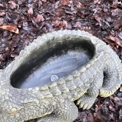 Darthome Limited Cement Crocodile Planter -Décor Dreams Shop IMG E9367