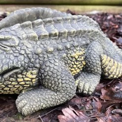 Darthome Limited Cement Crocodile Planter -Décor Dreams Shop IMG E9368