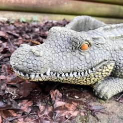 Darthome Limited Cement Crocodile Planter -Décor Dreams Shop IMG E9369 6cf6571e a831 4b68 b9a9 449dd9e5b896