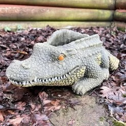 Darthome Limited Cement Crocodile Planter -Décor Dreams Shop IMG E9370