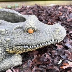Darthome Limited Cement Crocodile Planter -Décor Dreams Shop IMG E9372