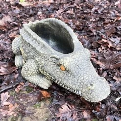 Darthome Limited Cement Crocodile Planter -Décor Dreams Shop IMG E9374
