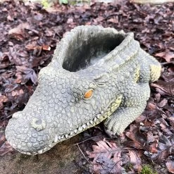 Darthome Limited Cement Crocodile Planter -Décor Dreams Shop IMG E9375