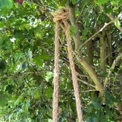 Darthome Limited Black Hanging Upside Down Monkey Ornament -Décor Dreams Shop IMG E9411 editedCQ