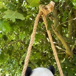 Darthome Limited Hanging Panda Garden Ornament 30cm -Décor Dreams Shop IMG E9418 editedCX