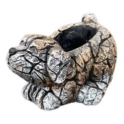 Darthome Limited Cement Dog Planter -Décor Dreams Shop IMG E9714 editedKNcopy